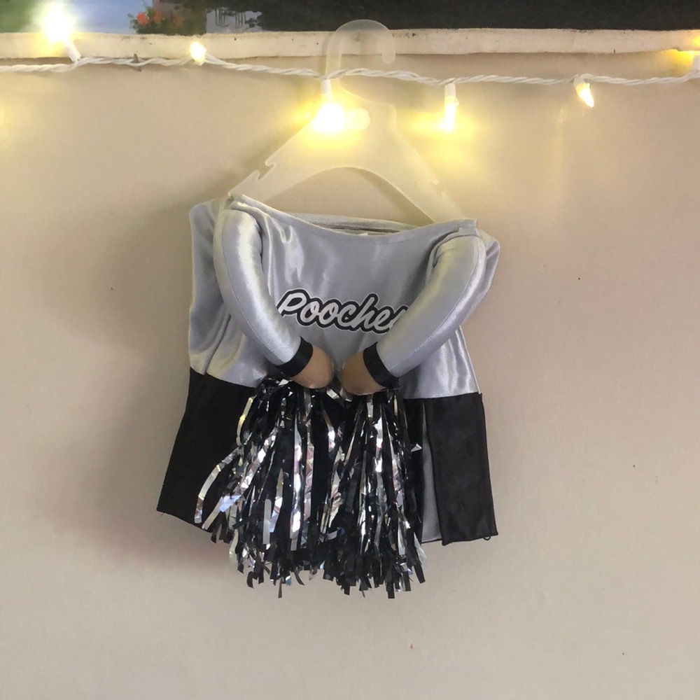 Silver and Black Pet Costume